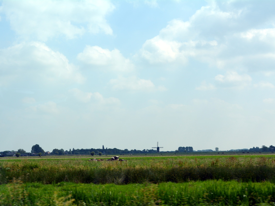 Picture