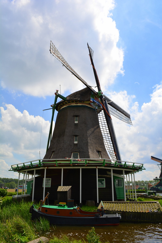 Picture