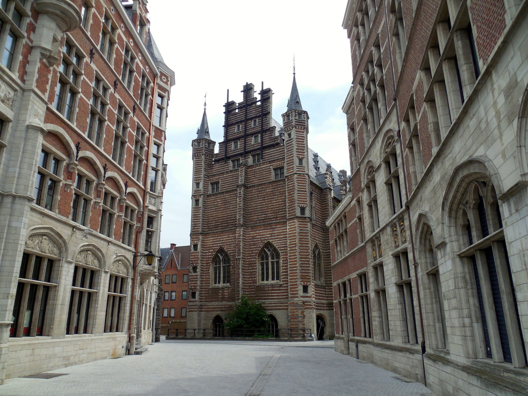 Picture