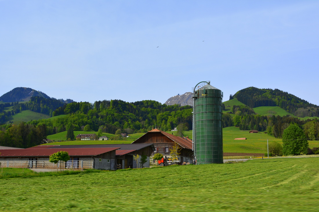 Picture