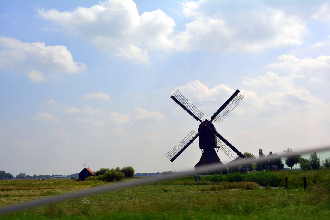 Picture