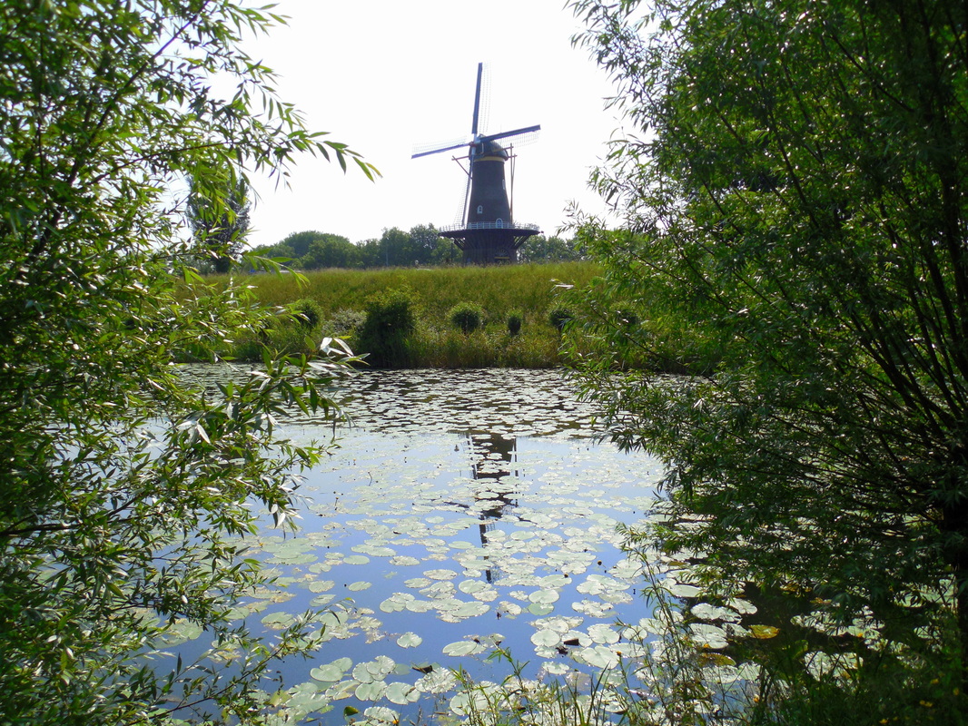 Picture