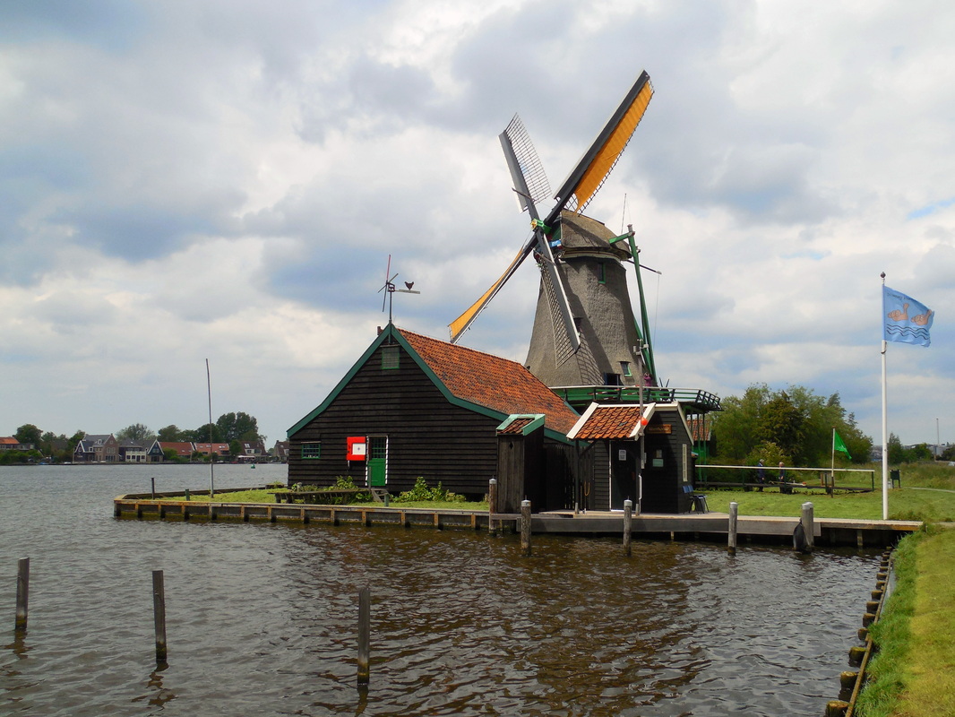 Picture